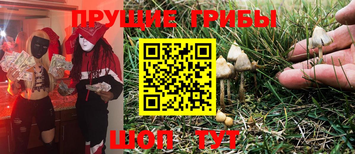 Галлюциногенные грибы Cubensis  Вход с VPN  Мурино 